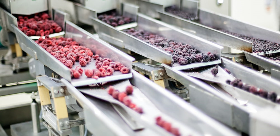 Importance of Material Handling in the Food Industry